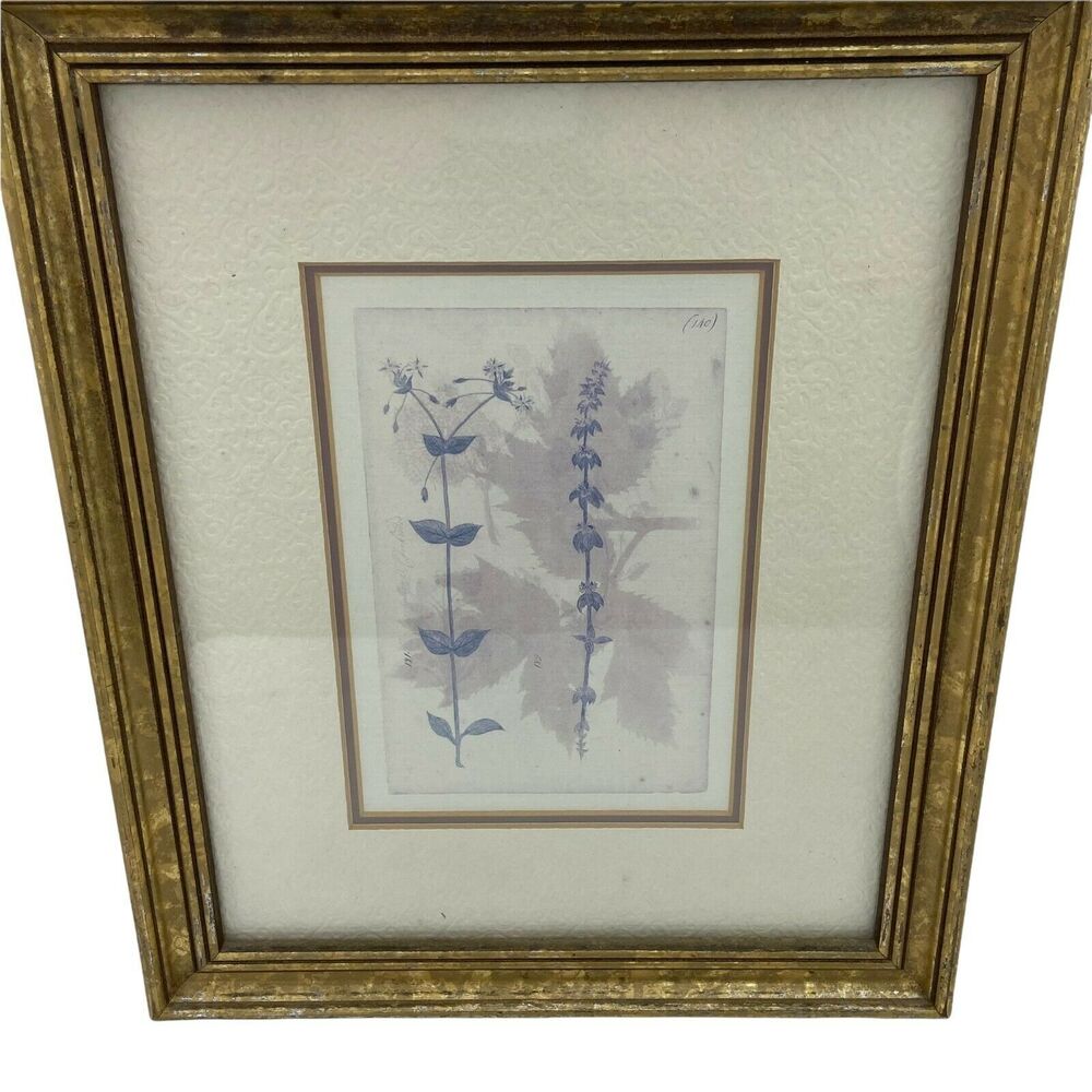 Botanical Print Cottagecore Vintage White Blue Gold Vintage Floral Decorative